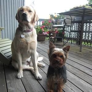 Meet your Posher, Lorelee